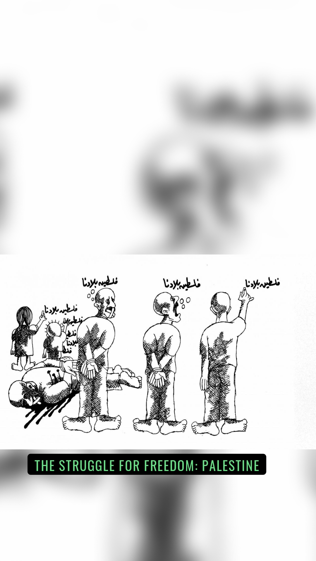 The struggle for freedom: Palestine